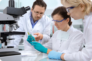 Lab Team